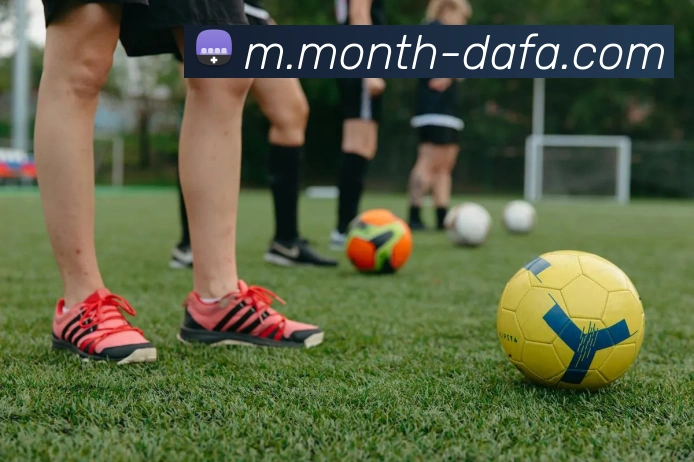 大发彩票平台生态图