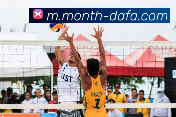 大发彩票APP 封面图